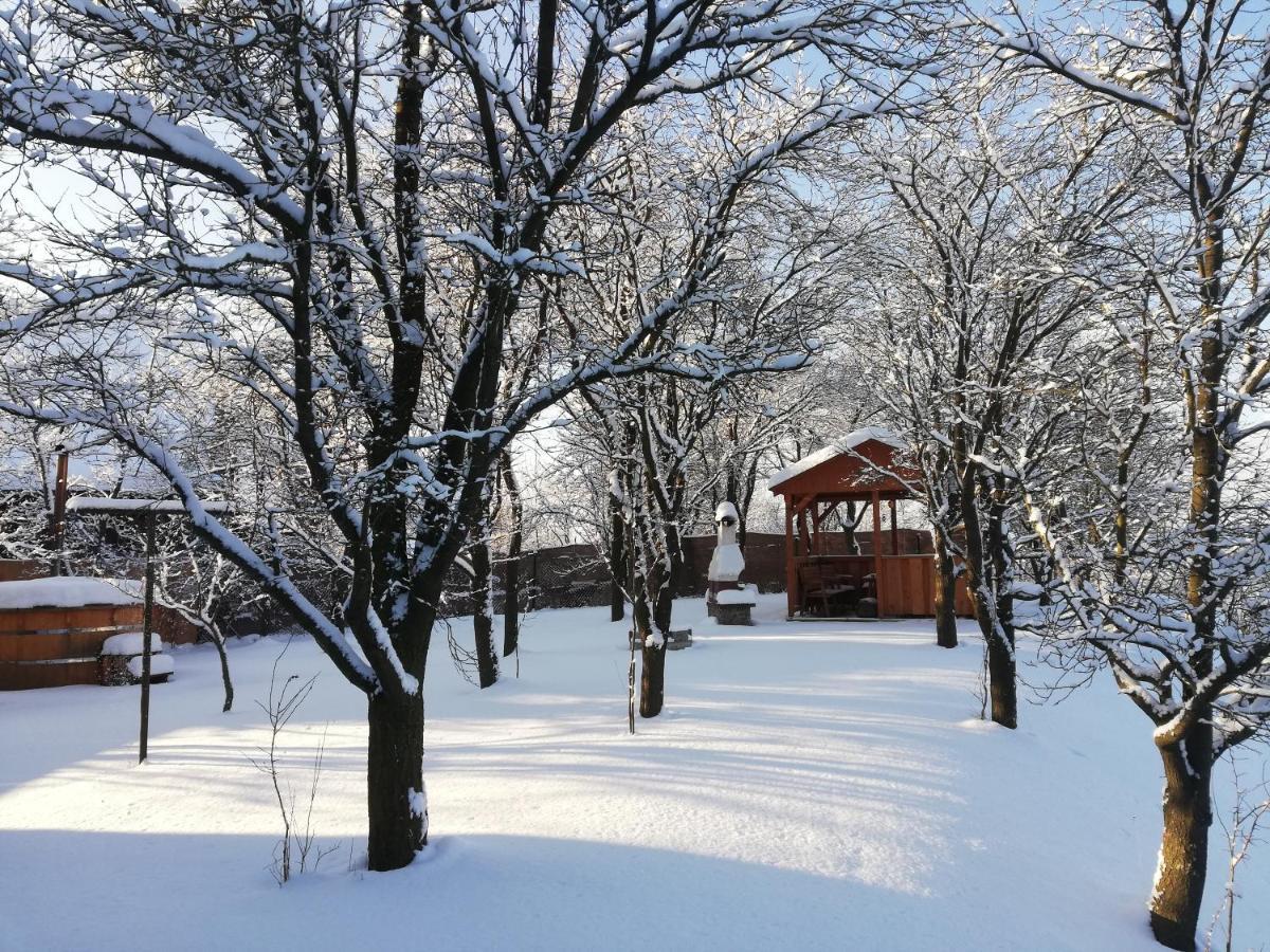 Drevenica Silvia Villa Liptovský Mikuláš Exteriör bild
